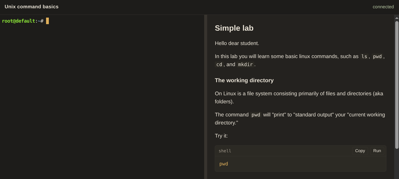 The lab page. The lesson is on the right, and the shell is on the left.